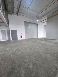 Ct Foodnex (D25), Factory #487060571